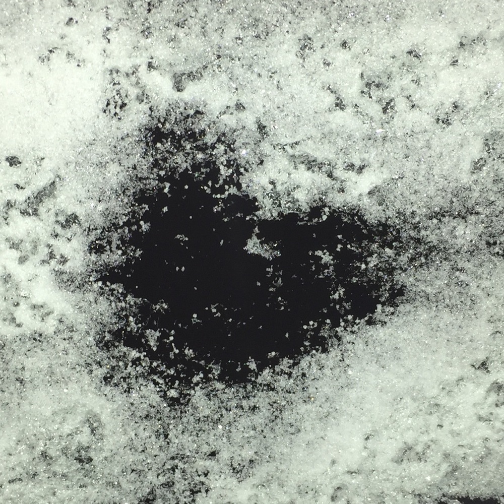 Meet your Posher, Gillian